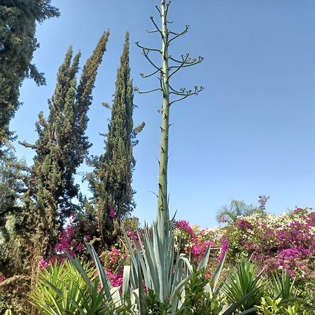 Riad-Villa Agadir-Taroudant Sidi Boumoussa Exteriör bild